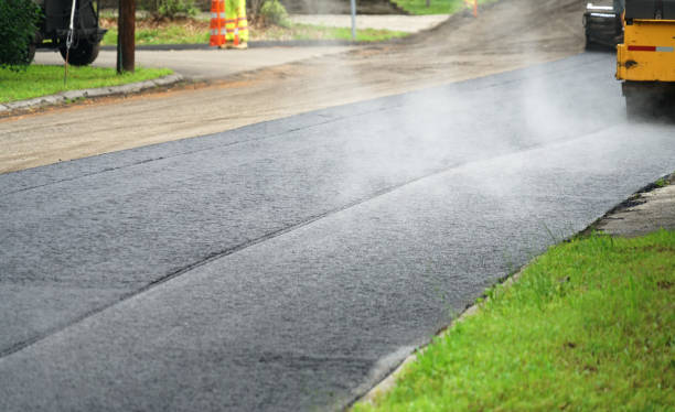 Best Local Driveway Pavers  in Crane, MO